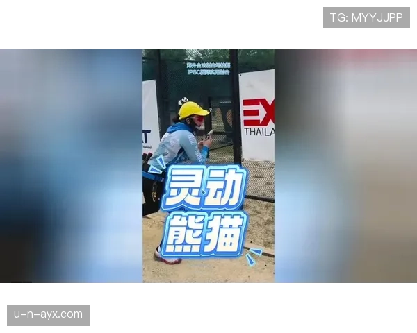 卡马文加状态回暖，灵动与坚韧闪耀赛场