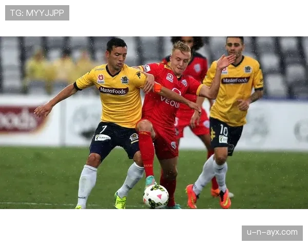 沙勒罗瓦防线稳健发挥，助球队稳居联赛前列彰显竞争力提升