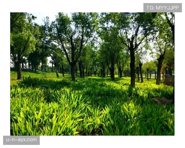维特斯新赛季进攻火力全开，未来表现值得期待