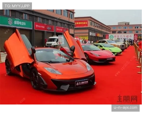 阿萨尔森那架私人飞机停了三天，城里不少人都认不出这不是明星豪车了吧？